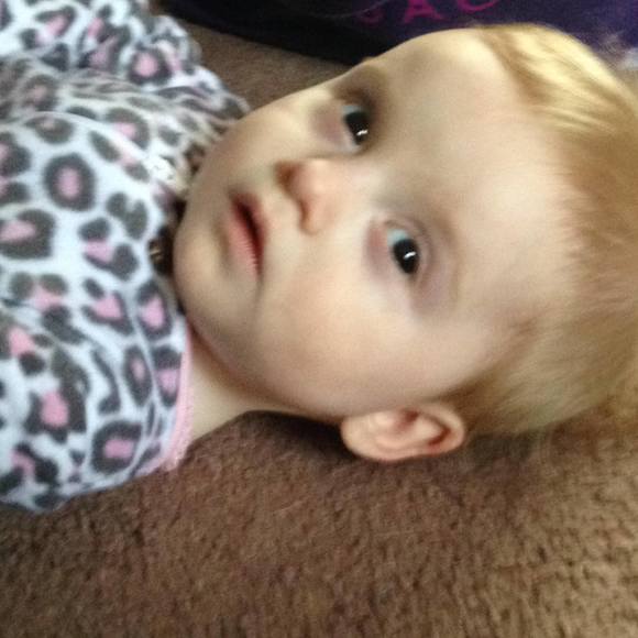 Meet your Posher, Cheyenne - Picture 1 of 1